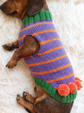 Pumpkin Halloween Clothes for Pets - Dog and Cat Pumpkin Sweater - Halloween Outfit Dachshund Pumpkin Costume