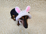 Easter bunny Dog Bucket Hat, summer panama cap with open ears dachshund, pet clothes photo shoot gift dog's mom