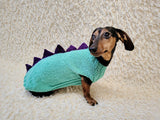 Custom Knitted Dinosaur Outfit for Dachshund – Winter Dog Apparel