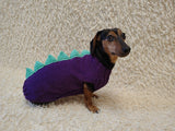 Knitted Dinosaur Costume for Dogs - Custom Dachshund Sweater