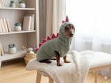 Dinosaur Dragon Costume Sweater and Hat Zoo Animal Clothes