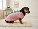 Handmade Dinosaur Sweater for Dachshunds – Knitted Pet Costume