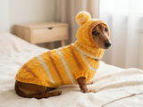 Winter warm sweater set and hat for dog, hat for dachshund