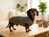 Size L Sweater for mini dachshund with arana,dachshund cloches wool sweater