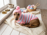 Knitted dachshund sweater with striped hood and pompom, hoodie for dachshund