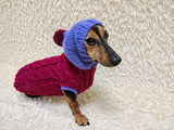 Cozy Dachshund Sweater, Hand Knit Cable Jumper for Doxie, Winter Wiener Dog Clothes, Custom Pet Apparel, Magenta Purple Knitwear for Dogs