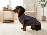 Wool aran sweater for mini dachshund or small dog, dachshund puppy sweater, terrier sweater, small dog sweater