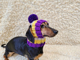 Multi-Color Striped Dog Snood: Hand-Knit Pom-Pom Beanie for Dachshunds