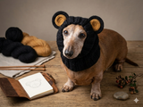 Dachshund black bear hat snood, dog clothes hat snood bear