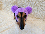 Hat for dog with two pompons, hat for dachshund with two pompons