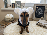Hand-Knitted Dachshund Snood with Pompoms, Funny Dog Hat for Small Breeds, Animal Style Knitted Dog Hood, Cozy Dachshund Winter Headwear