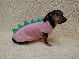 Handmade Dinosaur Sweater for Dachshunds – Knitted Pet Costume