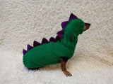 Matching Dog Sweater and Hat – Adorable Dinosaur Pet Apparel