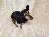 Bat Dog Costume, Knitted Puppy Halloween Outfit, Cute Vampire Bat Hoodie with Wings and Ears, Small Dog and Dachshund Apparel