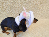 Easter bunny Dog Bucket Hat, summer panama cap with open ears dachshund, pet clothes photo shoot gift dog's mom