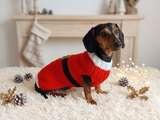 Christmas santa sweater for dogs, santa clothes for dog, santa sweater for dog, christmas for dogs, christmas santa sweater for dachshund