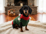 Christmas elf dog jumper with pom poms, christmas dog clothes, elf costume for dogs, elf sweater for dachshund or small dog