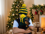 Matching Christmas Striped Dog and Owner Beanie Set: Wool Blend Knit