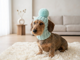 Hat for dog with pompom and holes for the ears