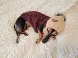 Sweatshirt winter coat for dogs, jumper for dachshunds, hoodies for pets