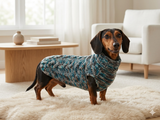 Knitted jumper for small dogs, sweater for small dachshund, sweater for chihuahua, sweater for yorkshire terrier, sweater for toy terrier