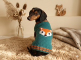 Clothes for a dachshund or small dog knitted winter wool warm jumper with a pattern