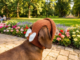 Pet clothes summer hat, panama for dachshund
