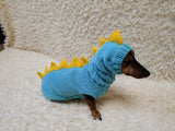 Dinosaur Dachshund Sweater with Hat  Knitted Dog Costume for Wieners