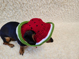 Watermelon Dog Bucket Hat, summer panama cap with open ears dachshund, pet clothes photo shoot gift dog's mom