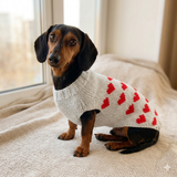 Jumper with hearts for dog valentine's day gift,Dachshund knitted heart sweater, clothing heart sweater, Valentine's day dog sweater