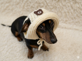 Teddy Bear Summer sun hat dogs with holes for ears. Hand knitted sun cap dachshund. Stylish Pet Photo Props and Gift Dog Moms