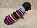 Handmade Knit Dachshund Sweater - Colorful Striped Dog Clothes