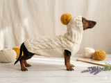 Costume for miniature dachshund sweater and hat, Doxie sweater and hat set, clothes for small dog of dachshund