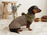 Winter wool coat with hood for dachshund or small dog.