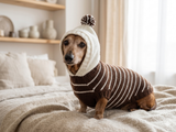Brown Striped Hoodies for Dogs
