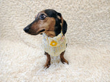Handmade Cable Knit Dachshund Sweater | Warm Dog Clothes)