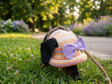 Panama hat summer for dog with bow, summer accessory for dog knitted panama