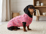 Dachshund clothes knitted sweater, knitted wool sweater for dachshund or small dog