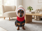Knitted Dachshund Santa Hat: Wool Blend Christmas Dog Costume