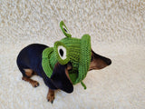 Frog Dog Bucket Hat, summer panama cap with open ears dachshund, pet clothes photo shoot gift dog's mom