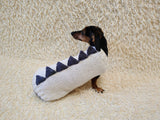 Funny Dinosaur Dog Sweater – Handmade Crochet Pet Clothing