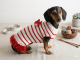 Red and white pet sweater with a bow, clothes with a bow for a mini dachshund