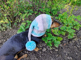 Knitted Dog Snood Hat with Pom Pom – Warm Winter Puppy Beanie & Dachshund Clothes