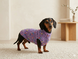 Jumper with flowers for a mini dachshund,Sweater with flowers and butterflies for miniature dachshund or small dog.