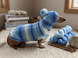 Winter set sweater and hat for dogs dachshund