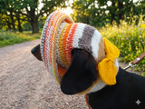 Panama hat summer for dog with bow, summer accessory for dog knitted panama