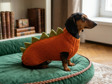 Dog dinosaur knitted clothes sweater, dinosaur sweater for dogs, original dog clothes dinosaur sweater