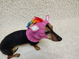Handmade Knitted Unicorn Dog Snood with Rainbow Mane & Ears