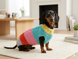 Rainbow striped wool jumper winter for dog, dachshund winter sweater with aran