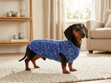 Dachshund clothes knitted sweater, knitted wool sweater for dachshund or small dog